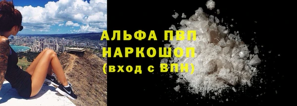 крисы Новодвинск