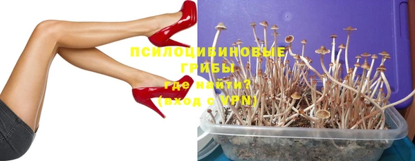 мескалин Новозыбков