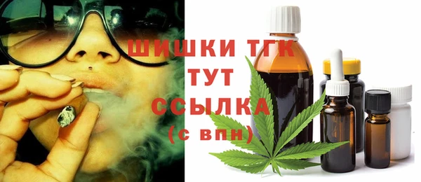 стаф Нефтегорск
