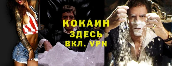 крисы Новодвинск