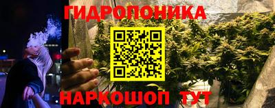 ГАЛЛЮЦИНОГЕННЫЕ ГРИБЫ Гусь-Хрустальный