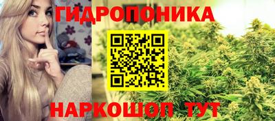 ГАЛЛЮЦИНОГЕННЫЕ ГРИБЫ Гусь-Хрустальный